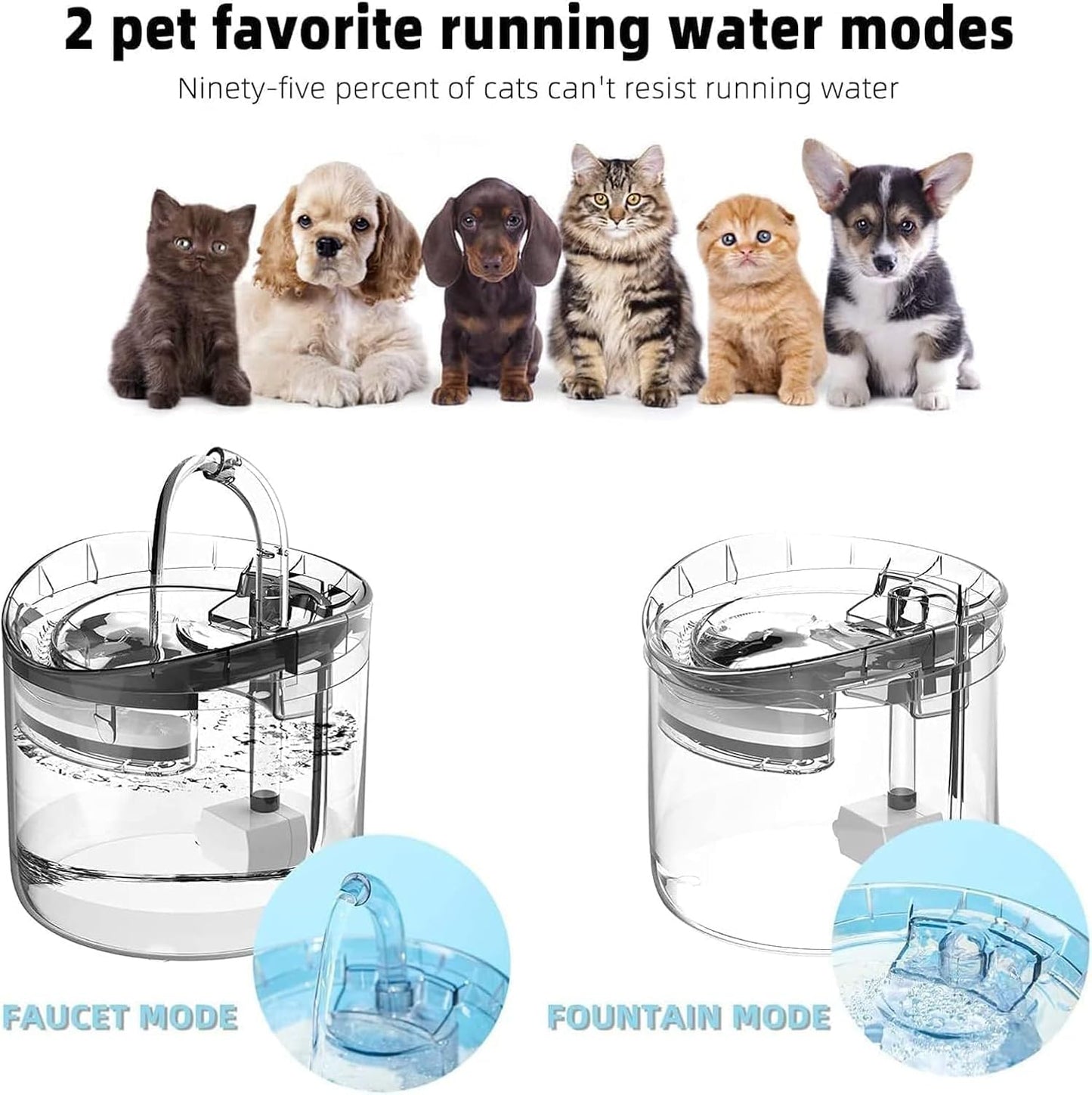 Cat Water Fountain